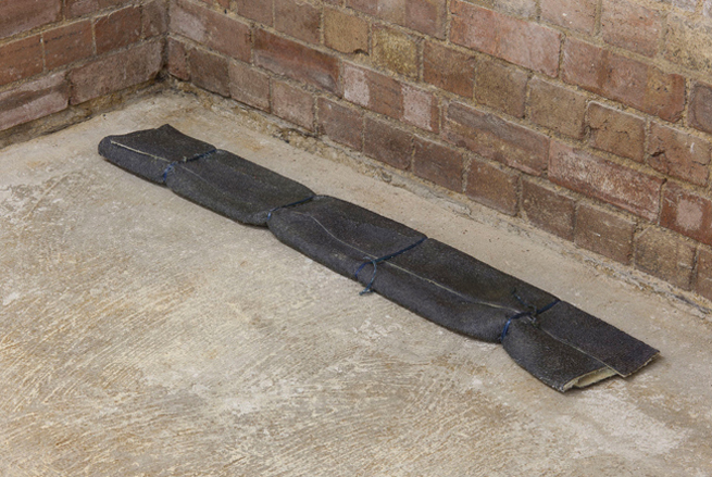 Browns In Full Colour